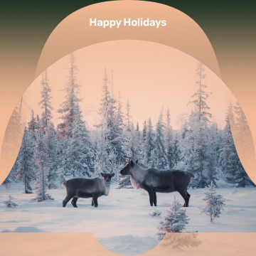 Счастливого Нового года!